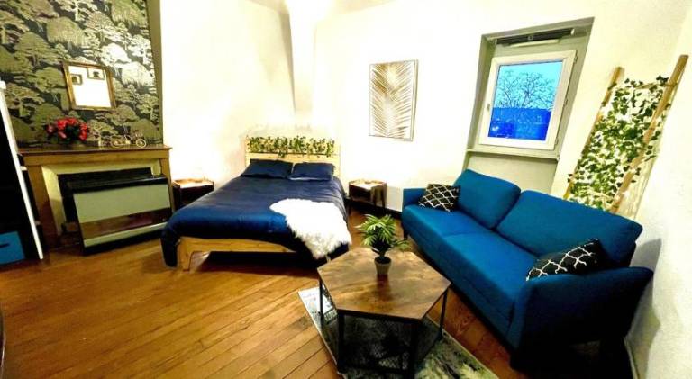 Nice holiday apartment | Pets are welcome in Beaune