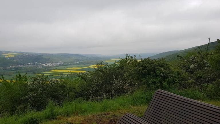 foto14