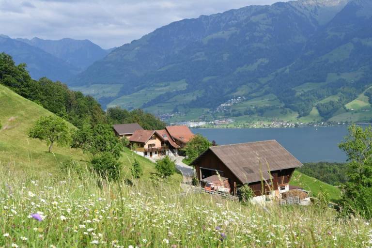 Ferienhaus Sarnen