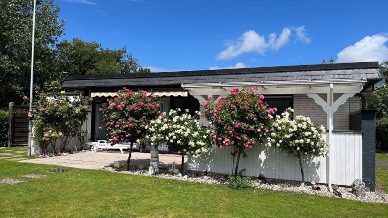 Ferienhaus Fehmarn