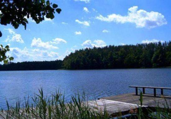 Pleasant house | Pet-friendly in Ostróda