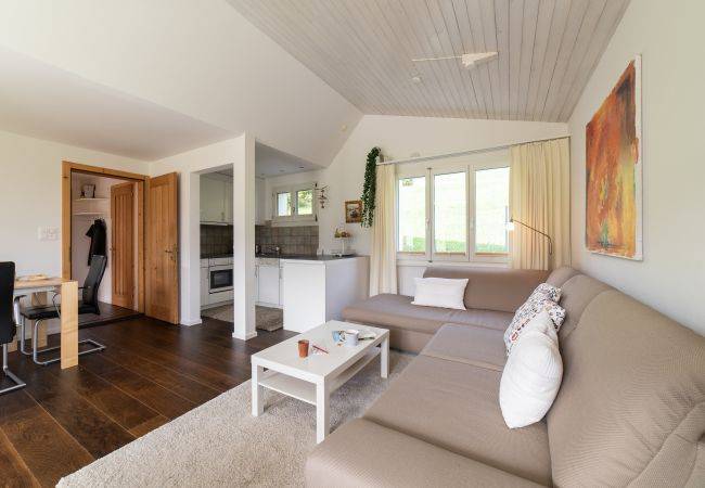 Ferienhaus Wildhaus