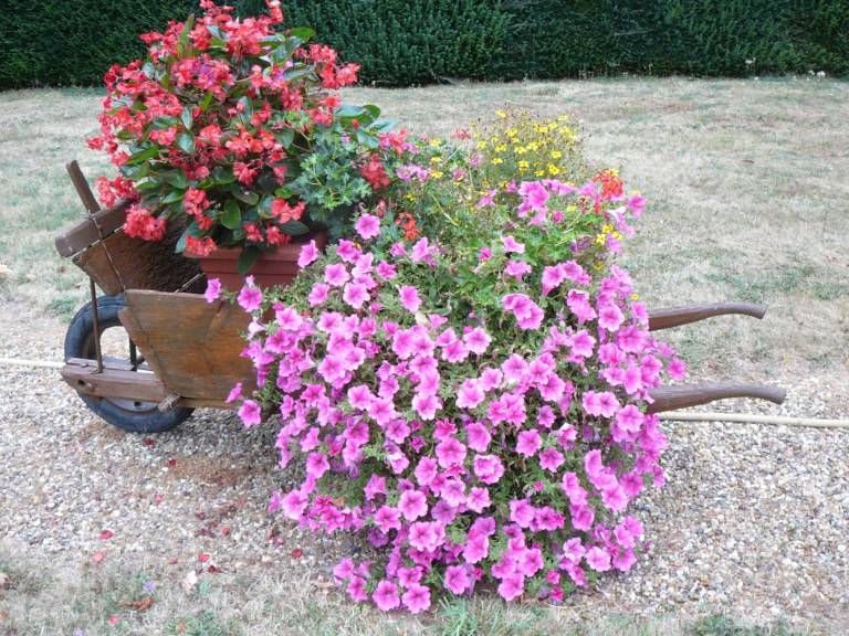 foto28