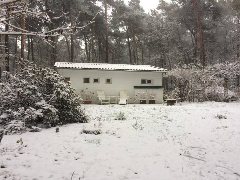 foto29