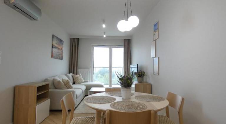 Rental apartment | Suitable for remote work in Poznan