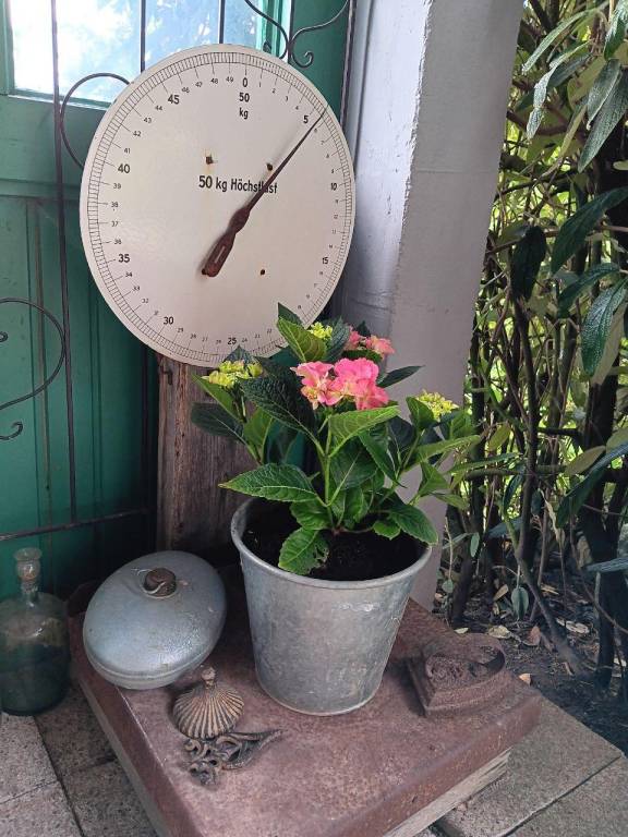 foto13