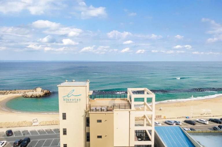 Gangneung Bluestay
