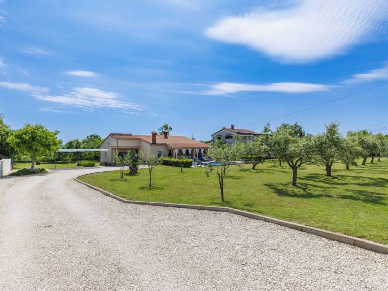 foto41
