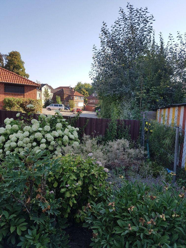 foto10