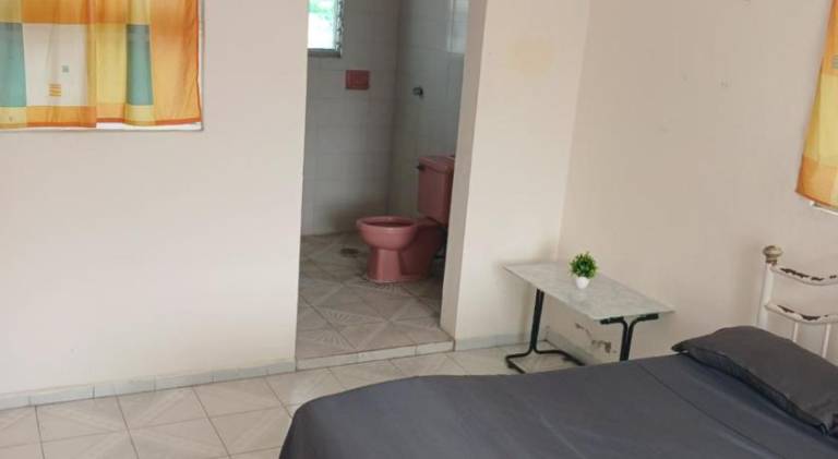 Rental apartment | Pets are welcome in Veracruz