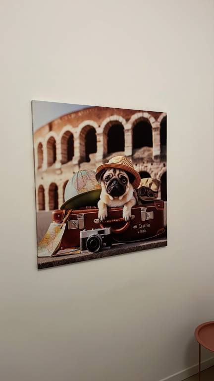 foto9