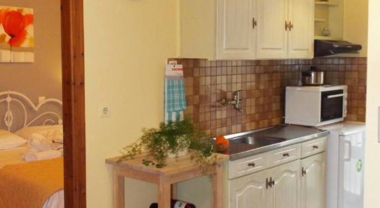 Lovely apartment with garden & terrace | Pets allowed in Lefkada