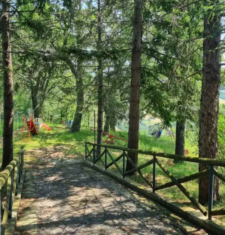 foto13