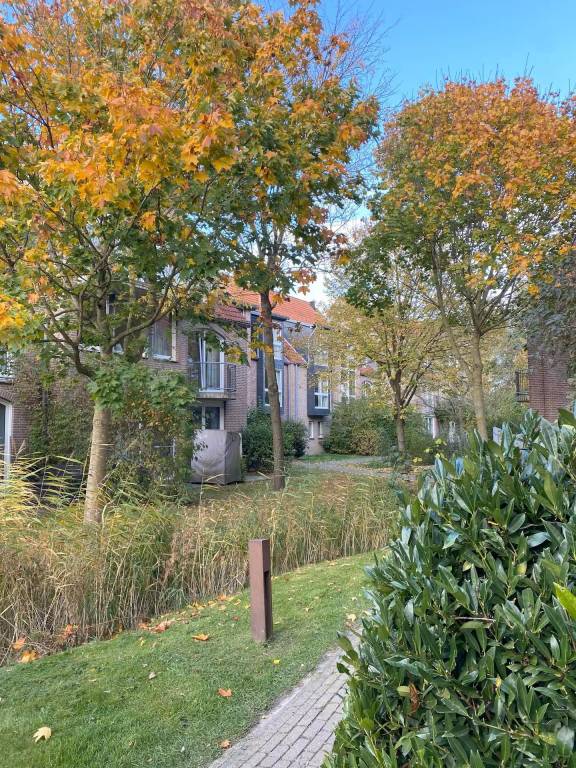 Holiday apartment with yard & terrace — photo 4