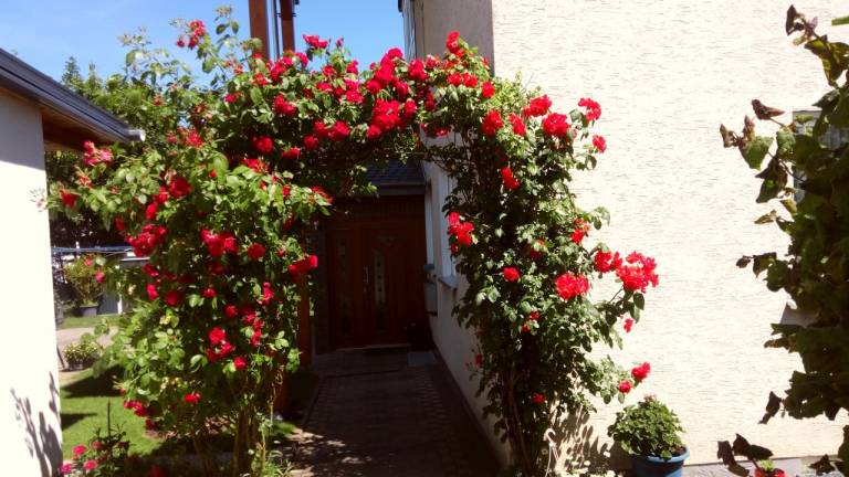 Ferienwohnung Bad Karlshafen