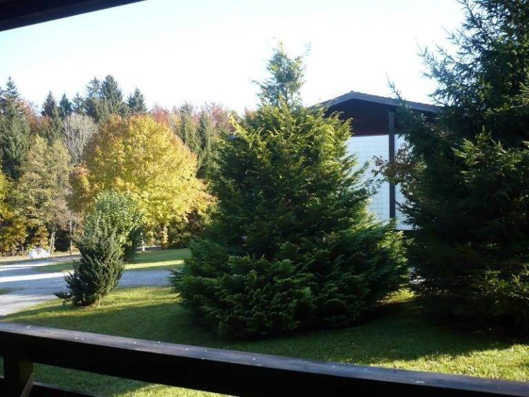 foto12