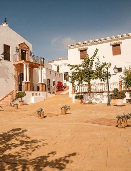 Ferienwohnung in Baena, Campiña de Baena für max. 4 Personen, Ferienwohnung in Baena, Campiña de Baena für max. 4 Personen,