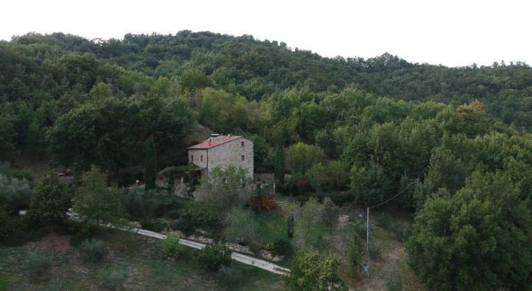 foto45