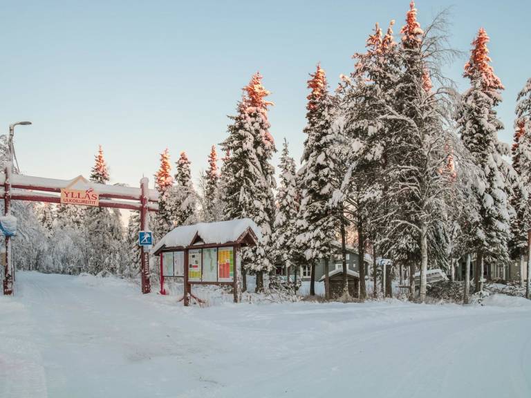 House with sauna | Dogs allowed — photo 2