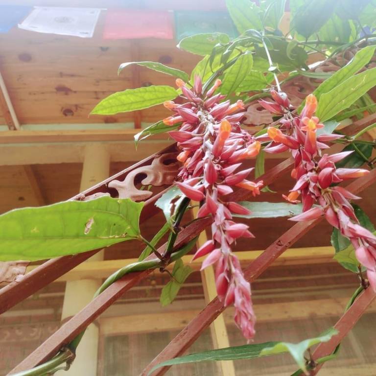 foto41
