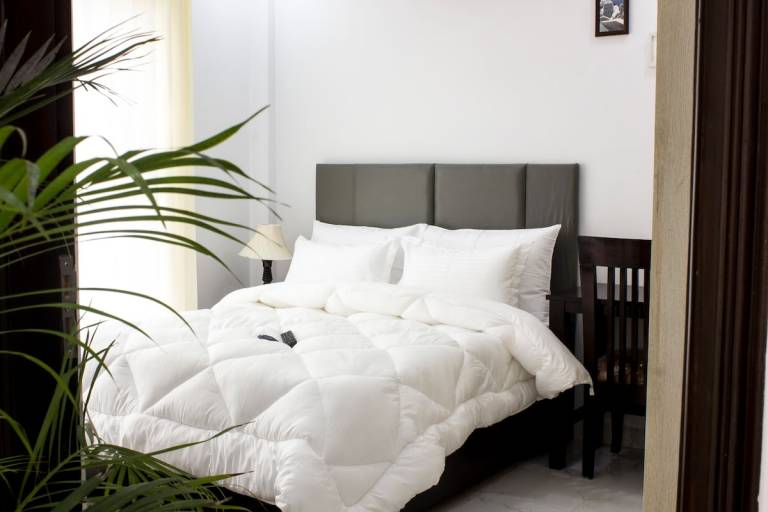 Tranquil 2BHK Oasis in the Heart of Gurugram
