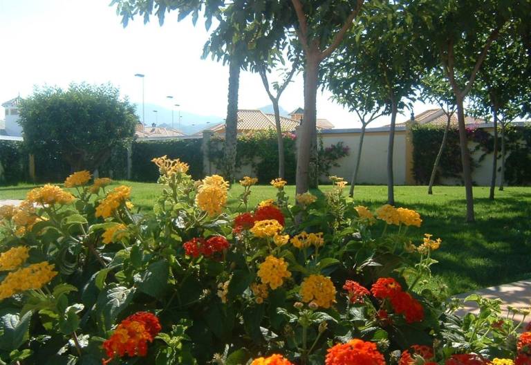 foto33