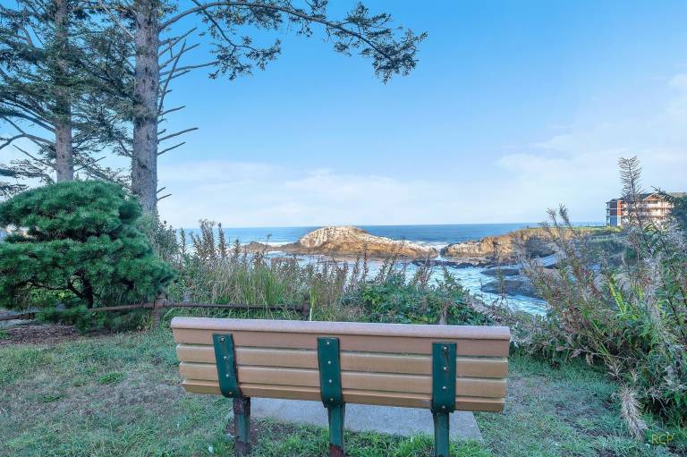 Pirate's Cove — photo 2