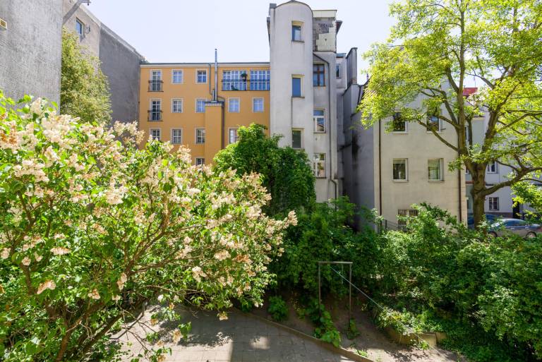 Family-friendly wonderful rental apartment with fast internet | Pet-friendly — photo 4