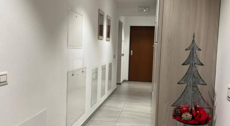 House with 2 rooms for 5 persons — photo 3