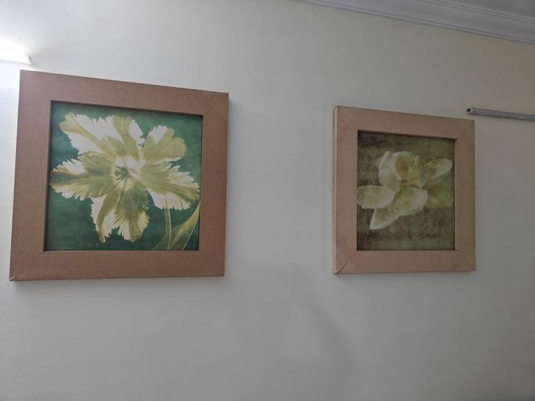 foto7