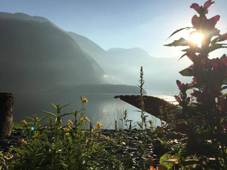 Ferienwohnung Gemeinde Hallstatt