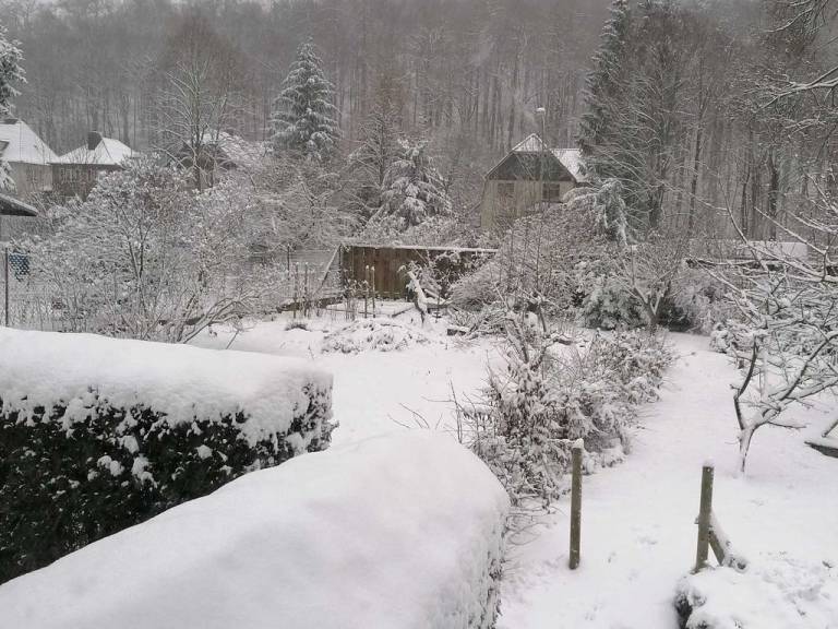 foto10