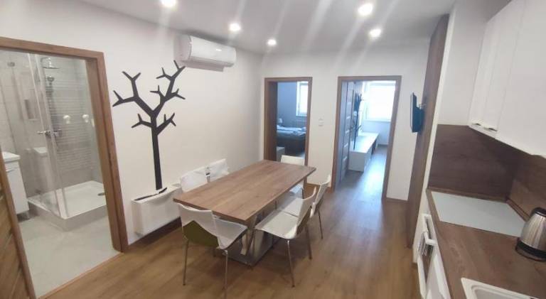 Rental apartment with terrace — photo 2