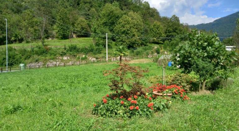 foto19