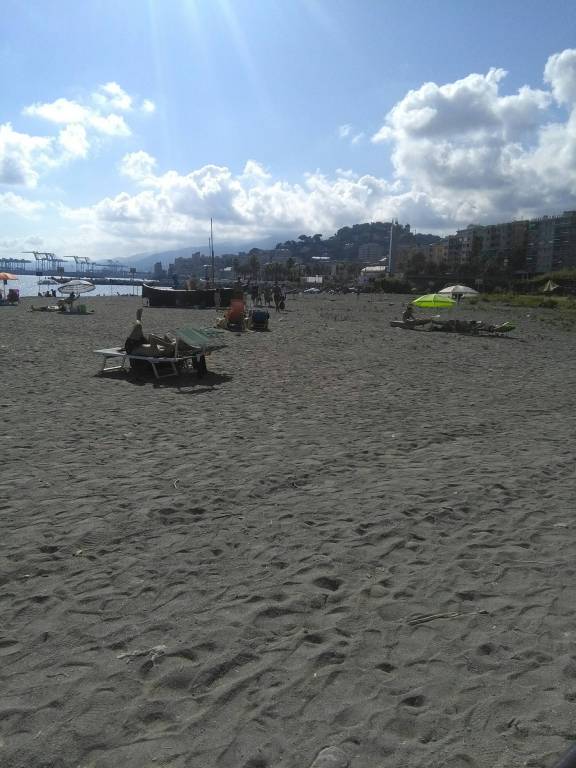 foto12
