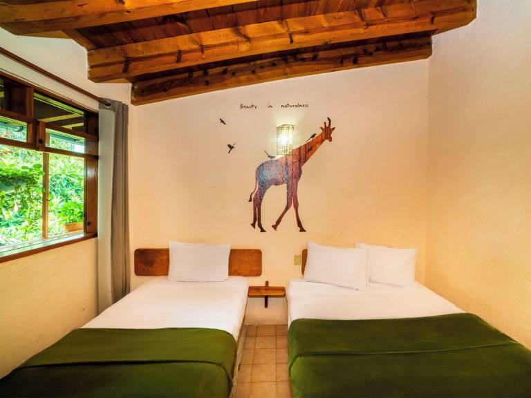 Hotel del valle — photo 5