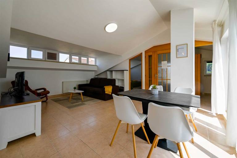 Beautiful apartment | Pets allowed in Rovinj