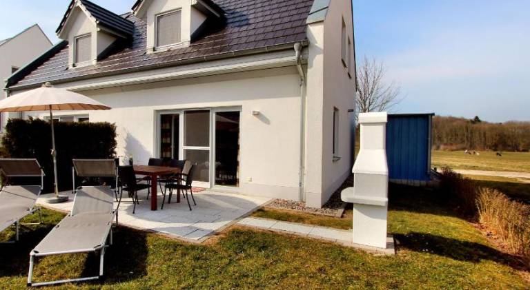 House | Suitable for remote work | Pet-friendly — photo 4