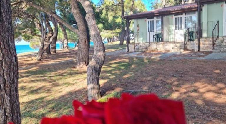 Family Bungalow Pineta in Novigrad