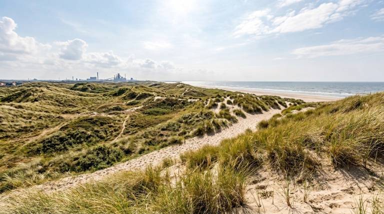 Ferienwohnung mit Hund inWijk aan Zee,   f&uuml;r max. 2 Personen