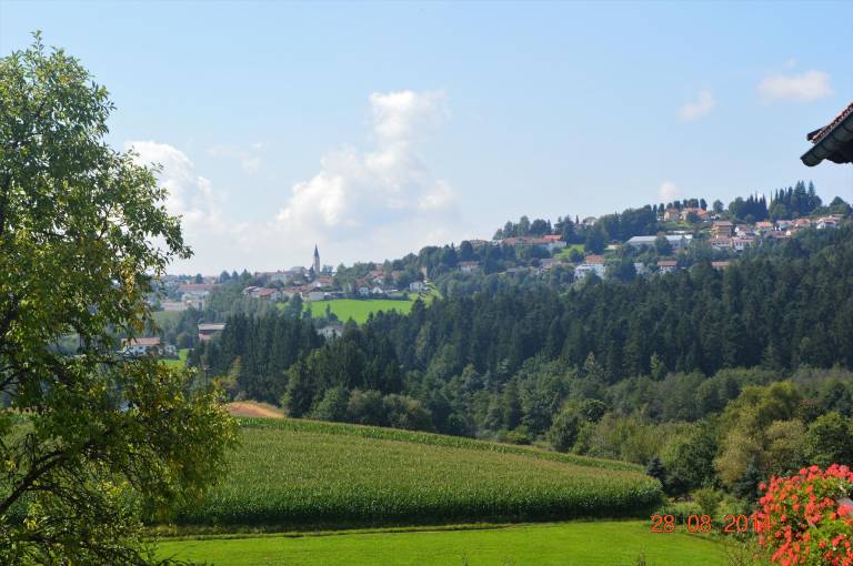 foto23