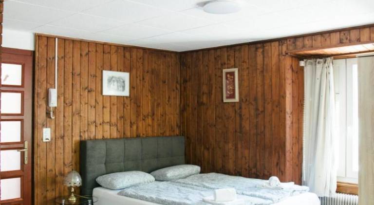 Ferienwohnung Thunersee
