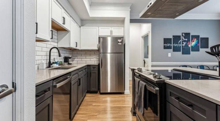 Beautiful rental apartment with pool | Suitable for remote work | Dogs allowed — photo 4
