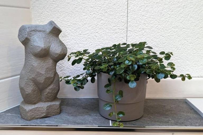 foto28