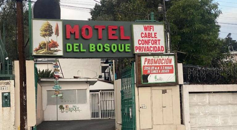Hotel Del Bosque — photo 4