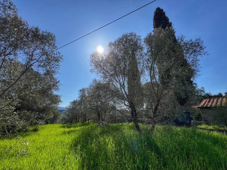 foto44
