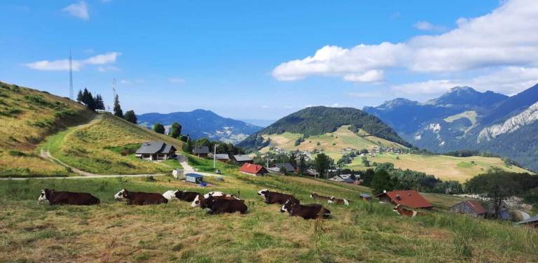 Chalet Onnion