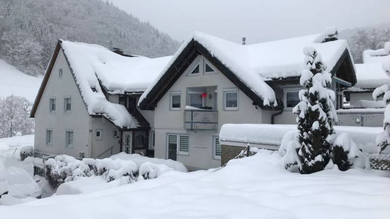 Ferienwohnung Todtnau