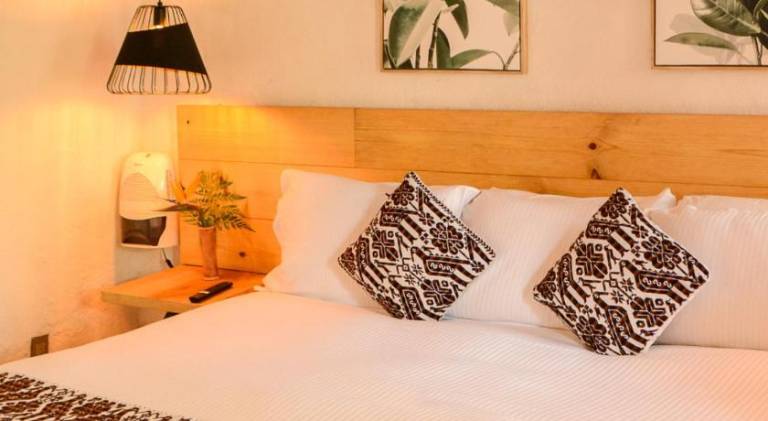 Petit Meson Pet Friendly Hotel