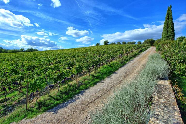 Brunello - Brunello 2 — photo 5